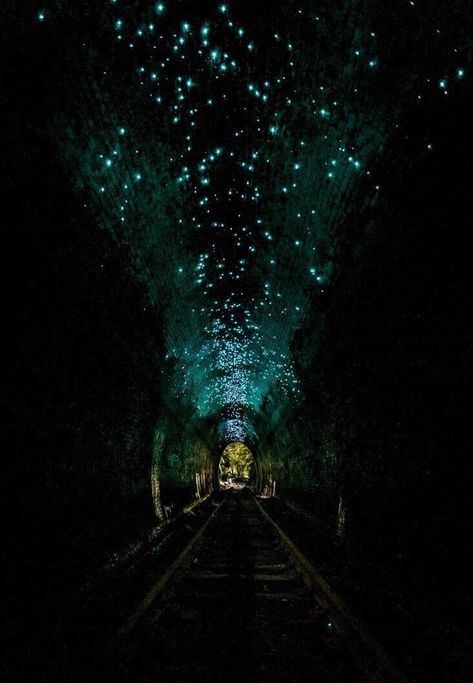 Secret Tunnel Aesthetic, Roma Photography, Space Tunnel, Glow Worms, Dark Tunnel, Train Tunnel, Hebden Bridge, Glow Worm, Abandoned Train