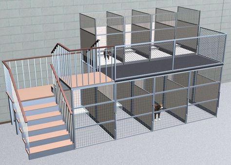 Kennel Business, Dog Boarding Ideas, Dog Daycare Business, Indoor Dog Park, Dog Boarding Facility, Dog Boarding Kennels, Dog Kennel Designs, Dog Grooming Shop, Dog Grooming Salons