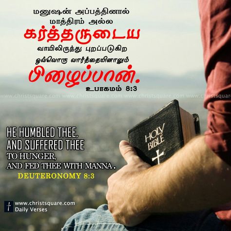 Tamil christian, tamil christian wallpaper, tamil christian wallpaper HD, tamil christian words image, tamil christian verses wallpaper tamil christian mobile wallpaper, tamil whatsapp staus wallpaper Jesus Words In Tamil, Christian Wallpaper Hd, Christian Songs Lyrics, Bible Quotes Tamil, Tamil Christian Songs, Christian Words, Bible Words In Tamil, Tamil Bible Words, Bible Verse For Today