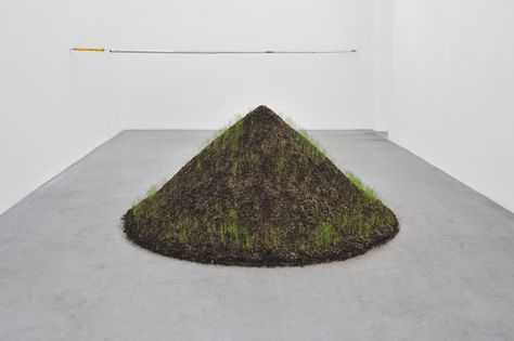 Hans Haacke Mariam Kamara, Hans Haacke, Contemporary Art Daily, Digital Art Gallery, Ends Of The Earth, School Inspiration, T Art, Sculpture Installation, Plant Art