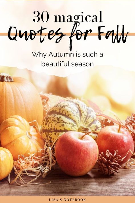 Fall Faith Quotes, Quotes About Autumn, Harvest Quotes, Fall Quotes Autumn, Preparation Quotes, Fall Season Quotes, Autumn Quotes Inspirational, Window Quotes, Pumpkin Bisque