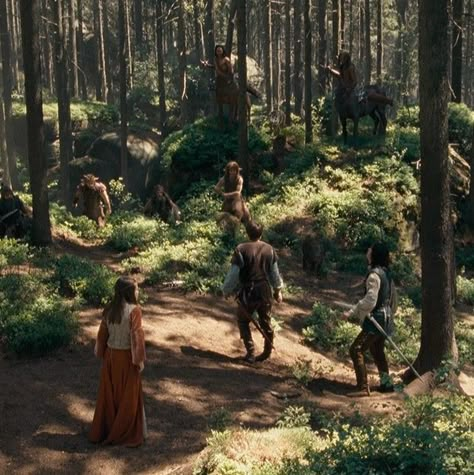 Shifting To Narnia, Narnia Cinematography, Narnia Golden Age Aesthetic, Narnia Landscape, Ice Queen Narnia, Pauline Core, Chronicles Of Narnia Aesthetic, Narnia Shifting, Narnia Core