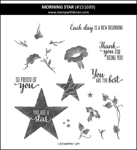 Morning Star, Stampin' Up! 151699 Frame Card, Embossed Cards, Star Images, Morning Star, Holiday Catalog, Create Photo, Stamping Up, Proud Of You, White Ink