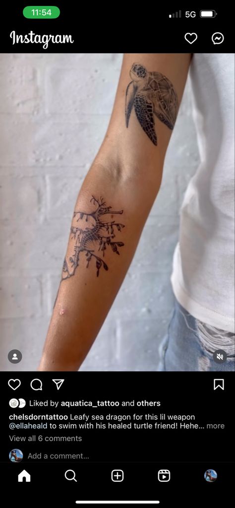 Weedy Sea Dragon Tattoo, Leafy Sea Dragon Tattoo, Sea Dragon Tattoo, Weedy Sea Dragon, Leafy Sea Dragon, Sea Tattoo, Sea Dragon, Tattoo Inspo, Dragon Tattoo