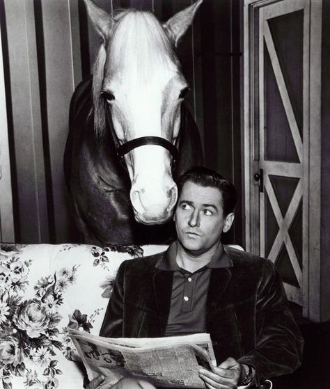 Here's What Happened to 'My Favorite Martian' Star Ray Walston Mr Ed, My Favorite Martian, Mister Ed, Alan Young, Actor Studio, Old Shows, Comedy Tv, Old Tv, Press Photo