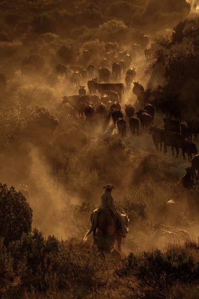 Yellowstone Aesthetic, Ben Christensen, West Aesthetic, Gothic Western, Cowboy Photography, Western Gothic, Western Photo, Cowboy Pictures, Western Photography