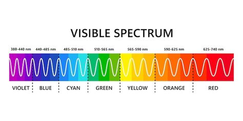 Wavelengths Of Light, Color Spectrum Wheel, Light Wavelength, Painting Exercises, Bakery Business Cards Templates, Eye Vector, Business Card Icons, Visible Light Spectrum, Colour Spectrum