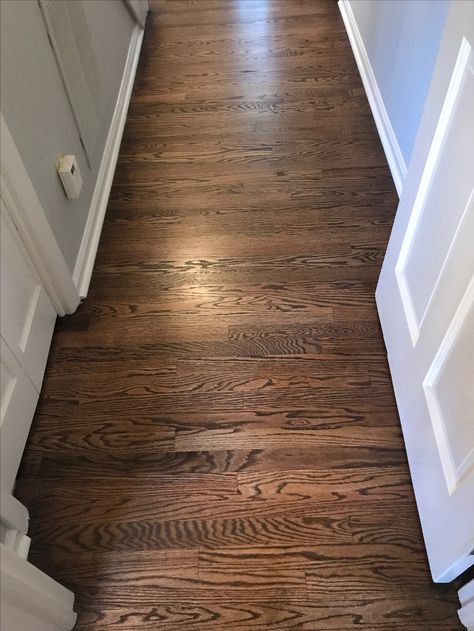 Dark walnut stain Dark Walnut Floors, Hardwood Floor Stain Colors, Oak Floor Stains, Floor Stain Colors, Wood Floor Stain Colors, Walnut Wood Floors, Wood Floor Colors, Red Oak Floors, Hardwood Floor Colors