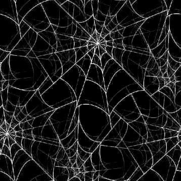 Goth Spider, Goth Gifts, Black And White Spider, Y2k Icons, How To Impress, Spider Art, Emo Wallpaper, 2000s Grunge, Y2k Wallpaper