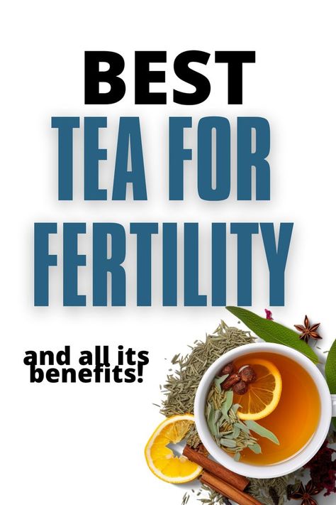 Looking for natural herbal teas to get pregnant quicker? Here's a list of the best-rated fertility teas to help you get pregnant this year! Teas For Fertility, Tea For Fertility, Pregnancy Drinks, Fertility Food, Garlic Tea, Pregnant Drinks, Fertility Tea, Fertility Smoothie, Best Teas