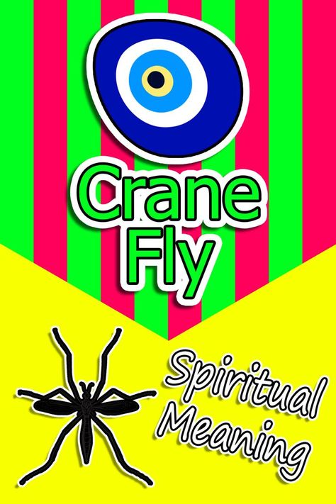 Crane Fly Spiritual Meaning Fly Spiritual Meaning, Fly Symbolism, Sleep Phases, Crane Fly, Animal Spirit Guides, Kidney Cleanse, Health Podcast, Animal Spirit, Spiritual Meaning