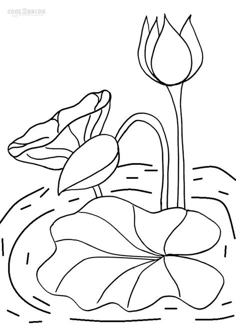 Lily Pad Drawing, Lilies Drawing, Frog Coloring Pages, Flower Line Drawings, School Coloring Pages, Color Pad, Online Coloring Pages, Flower Coloring Pages, Templates Printable Free