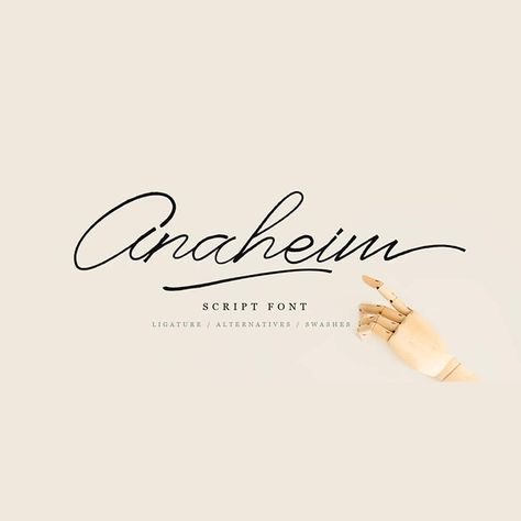 Modern Script Font Free, Best Adobe Script Fonts, Adobe Script Fonts, Elegant Free Fonts, Google Script Fonts, Handwritten Fonts Free, Script Fonts Free, Kitchen Branding, Cursive Fonts Handwritten