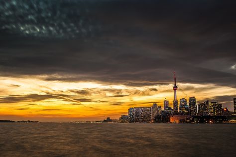 Polson Pier, Toronto. Places In Toronto, City Lights Wallpaper, Toronto Skyline, Cityscape Photos, Park Homes, Beautiful City, Stunning View, Most Beautiful Places, Real Estate Professionals