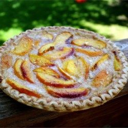 Nectarine Pie - Allrecipes.com Ballerina Farms, Nectarine Pie, Peach Custard Pies, Peaches And Cream Pie, Fresh Cherry Pie, Egg Custard Pie, Ballerina Farm, Test Kitchen Recipes, Cooks Country