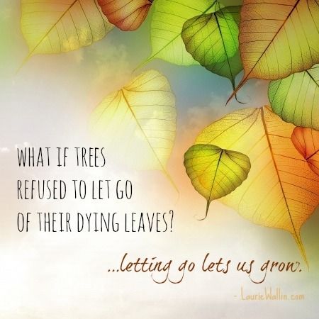 Letting go let's us grow. quote autumn leaves move on fall let go autumn quote fall quote Astrology App, Leaf Quotes, Tree Quotes, Letting Go Quotes, Go For It Quotes, App Ios, Autumn Quotes, Vedic Astrology, Special Quotes