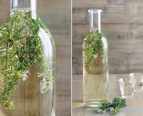 Memory tonic? Artisan libation? Both? Learn how a rosemary wine infusion can transform both the flavor and health benefits of a basic bottle. Herbal Wine, Spa Drinks, Healthy Cocktail Recipes, Infused Liquors, Healthy Cocktails, Pinot Noir Wine, White Sangria, Homemade Wine, Rosemary Sprigs