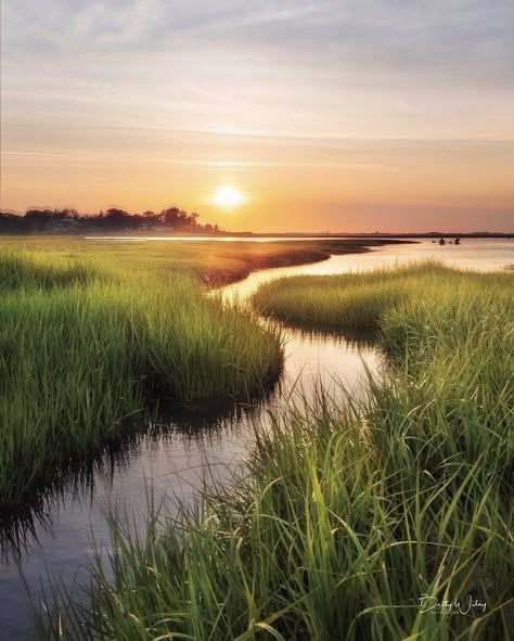 Exploring the marshes of Cape Cod! 🏆 Photo of the day by @bettywileyphoto🏆 Tag us or use #newenglandtraveljournal to share your photos #explorenewengland #mynewengland #ignewengland #travel #newengland #ontheroad #newenglandlife #newenglandliving #photooftheday Salt Marsh Photography, Marsh Landscape Photography, Coastal Landscape Photography, Marshes Landscape, Marsh Pictures, Marsh Aesthetic, Maine Lupines, Marsh Photos, Marsh Land