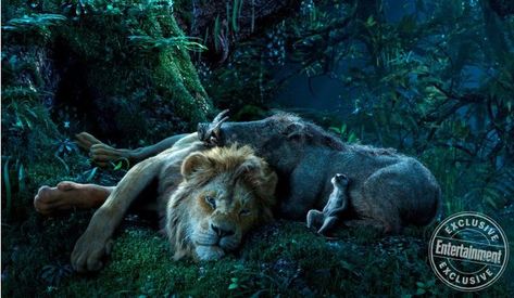 Stargazing Le Roi Lion Disney, Roi Lion Simba, Watch The Lion King, Disney Mignon, The Lion Sleeps Tonight, Lion King Movie, Timon And Pumbaa, Il Re Leone, Simba And Nala