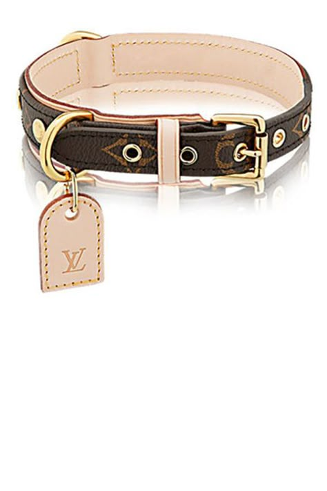 Louis Vuitton Dog Collar, Puppy Obedience Training, Positive Dog Training, Basic Dog Training, Designer Dog Collars, Dog Training Advice, Dog Training Videos, Dog Training Techniques, Best Dog Training