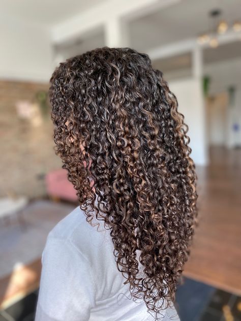 Brown Highlights On Natural 4c Hair, Curly Hair Dye Highlights, Highlits On Curly Hair, Rachel Highlights, Black Curly Hair With Brown Highlights, Highlight Colors For Brown Hair, Brown Highlights On Curly Hair, Honey Highlights On Dark Hair Curly Hair, Black Hair With Brown Highlights Curly