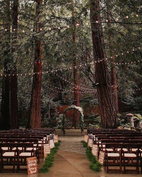 Twilight Wedding, Forest Theme Wedding, Enchanted Forest Wedding, Dream Wedding Venues, Fairy Wedding, Planning Wedding, Forest Theme, Outdoor Reception, Future Wedding Plans