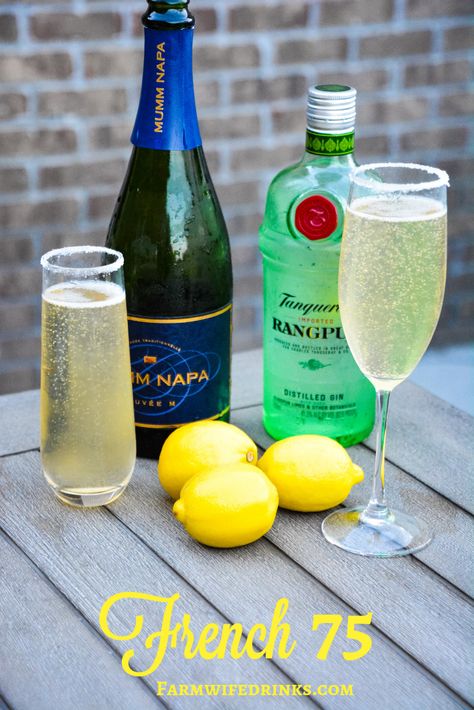 The French 75 is a combination of lemon juice, simple syrup and gin topped off with prosecco. #Prosecco #CocktailRecipe #Cocktails #French75 #Gin Prosecco Cocktails Easy, Prosecco Drinks, Strawberry Banana Milkshake, Best Gin Cocktails, Gin And Prosecco, Spicy Candy, French 75 Cocktail, Cocktail Appetizers, Prosecco Cocktails