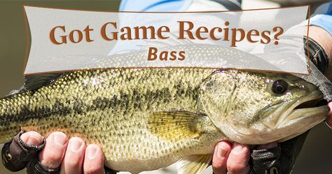 5 Mouth-Watering Bass Recipes – Georgia Wildlife Blog Bass Recipes, Fish For Dinner, Chipotle Crema, Garlic Herb Butter, Bass Fish, Largemouth Bass, Herb Butter, Garlic Herb, Game Food