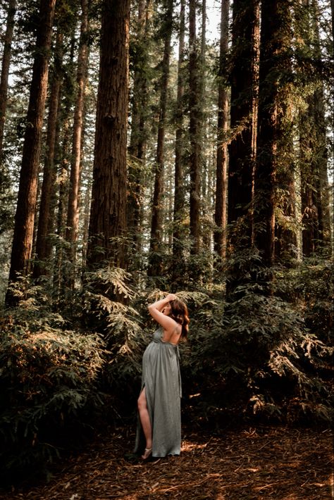 Forest Maternity Photo Shoot - Bay Area, CA Forest Maternity Photos in Oakland, CA Trees Maternity Shoot, Maturity Photoshoot Woods, Maternity Shoot In Forest, Maternity Photography Pine Trees, Wilderness Maternity Shoot, Bay Area Maternity Shoot, Maternity Photography 2023, Fall Forest Maternity Shoot, Forest Themed Maternity Shoot