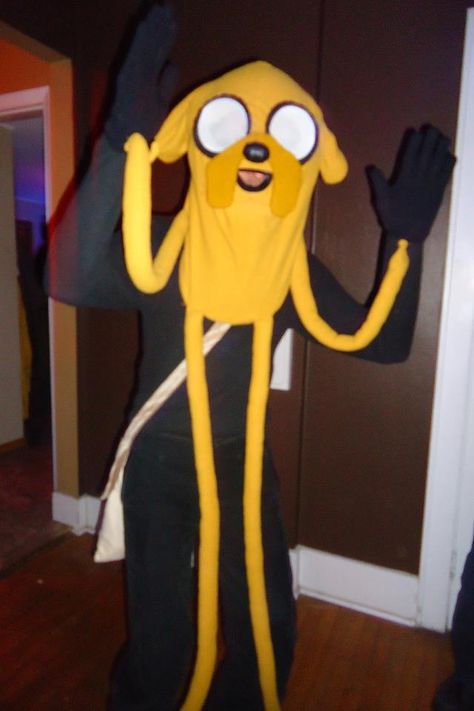 Jake The Dog Cosplay, Jake The Dog Costume, Finn And Jake Costume, Finn Halloween Costume, Jake Costume, Alice Halloween, Adventure Time Parties, Adventure Time Cosplay, Jake The Dog