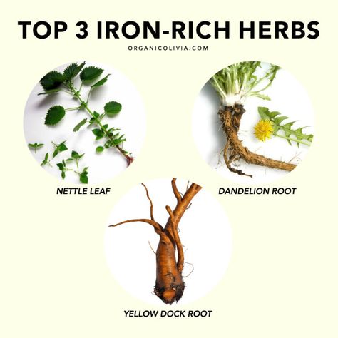 As a follow up to my last post on iron deficiency, I wanted to share the top 3 plant sources of iron from nature’s original medicine: herbs! I don’t recommend taking a strong iron supplement like the one I mentioned in that post unless you have the okay from your doctor based on blood tests. … Iron Deficiency Remedies, Medicine Herbs, Sources Of Iron, Iron Supplement, Parasite Cleanse, Poor Digestion, Iron Deficiency, Iron Rich, Nutritional Deficiencies