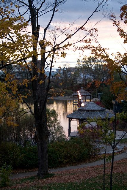 Waterloo Park | Ontario | Canada Kitchener Canada, Waterloo Canada, Waterloo Ontario, Park Sunset, Canada Eh, Travel Plan, Ontario Canada, Beautiful Gardens, Real Estate Agent