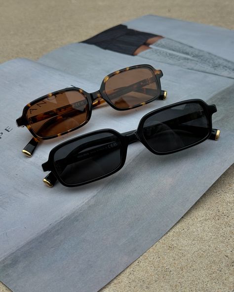 Newest MIU MIU MU11ZS in classic black and stylish Havana Havana, Miu Miu, Classic Black, Black