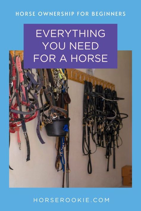 If you are buying a horse, the list of necessary items seems endless. We've compiled a complete list of the items you'll need for your horse - from tack and grooming supplies to first aid items. Things You Need For Your First Horse, Horse Necessities, Buying A Horse, Stall Flooring, Horse Ownership, Buy A Horse, Horse Information, Forgetting Things, Fly Spray