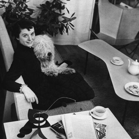 A tribute to Florence Knoll Bassett ('' Shu '') (1917 - 2019) : R.I.P 'The most powerful figure in the modern design', - New York Times (1964) Credite photo of the designer with her mascot Cartree - @knollinc . . . . #FlorenceKnoll #architector #interior #interiordesigner #architect #architector #architecte #архитектор #knollstyle #designer #дизайнер #дизайнеринтерьера #famouswomen #businesswoman #femmedaffaires #designbusiness #dog #mascot #Manhattan #knoll Florence Knoll Sofa, Knoll Sofa, Lucienne Day, Harry Bertoia, Don Draper, Walter Gropius, Marcel Breuer, Florence Knoll, Eero Saarinen