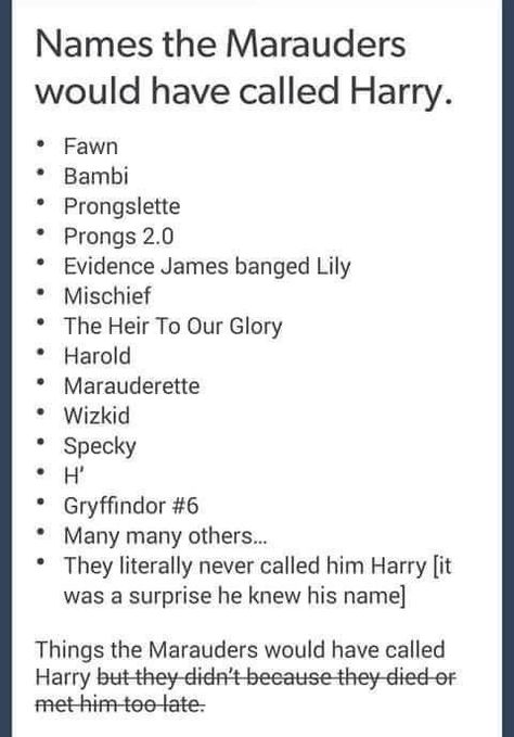 Feels Marauders Headcanons, Headcanon Harry Potter, Harry Potter Feels, Hp Marauders, Smart Toys, Harry Potter Headcannons, All The Young Dudes, Harry Potter Things, Harry Potter Jokes