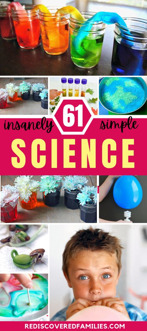 Do you need some super simple science experiments for kids? We've gathered together 61 easy science experiments for kids to enjoy at home. They are easy to set up and use household items you already have. Visit rediscoveredfamilies.com to find more quick DIY science experiments for kids. Don't forget to save this pin to quickly find fun science projects for kids. Science Projects For First Grade, Fun Kid Experiments At Home, Easy 3rd Grade Science Experiments, Fourth Grade Science Experiments, Science Project Kindergarten, Kindergarten Science Experiments Easy, Science For 4 Yrs Old, Ks1 Science Experiments, Eyfs Science Experiments