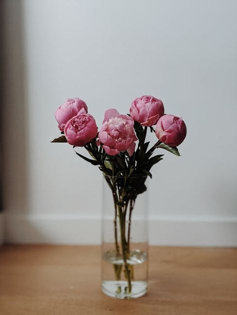 Flower Vase Design, Pink Carnations, Carnation Flower, Clear Glass Vases, Flower Therapy, Minimalist Photography, Photos Hd, Flowers Perennials, Pink Peonies