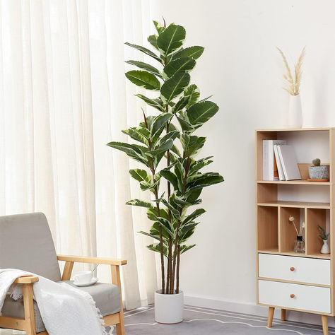 Lifelike Appearance - Carefully crafted to mimic the appearance of a real live rubber tree plant,looking as close to reality as possible, perfect for any room or office decor. Three trunks adorned with 69 large leaves, clearly textured leaves and variegated color makes this faux rubber tree a timeless home decor for all seasons and will definitely make you feel the existence of nature. Faux Ficus Tree, Fig Tree Plant, Rubber Tree Plant, Fiddle Leaf Fig Tree, Ficus Tree, Floor Plants, Rubber Tree, Faux Tree, Artificial Trees