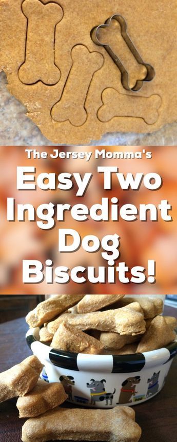 2 Ingredient Dog Treats, Healthy Dog Biscuits, Pet Treats Recipes, Dog Treats Homemade Easy, Easy Dog Treat Recipes, Dog Biscuit Recipes, Easy Dog Treats, Healthy Dog Treats Homemade, Two Ingredient