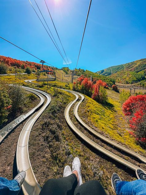 Exploring Utah | went up to park city to try their mountain coaster, alpine slide, and zipline Mountain Coaster, Alpine Slide, Alpine Coaster, Background Check, 2024 Vision, Go Up, Fall 2024, Roller Coaster, Park City