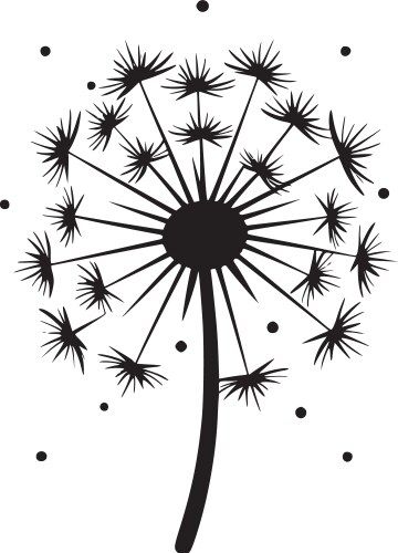 White Dandelion, Graphic Design Tutorials, Doodle Drawings, Design Tutorials, Png Images, Dandelion, Adobe Illustrator, Vector Images, Vector Free