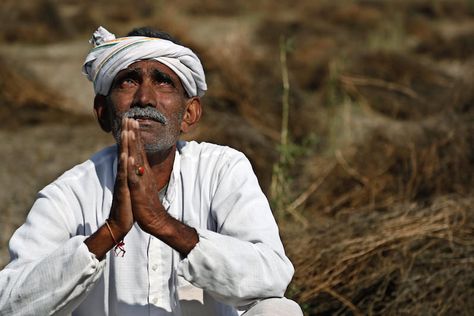 A farmer looks skyward as he sits amid his storm-damaged w Agriculture Photography, Agriculture Education, Weather News, Work Routine, Right To Choose, Mass Communication, Village Life, Agriculture, Farmer