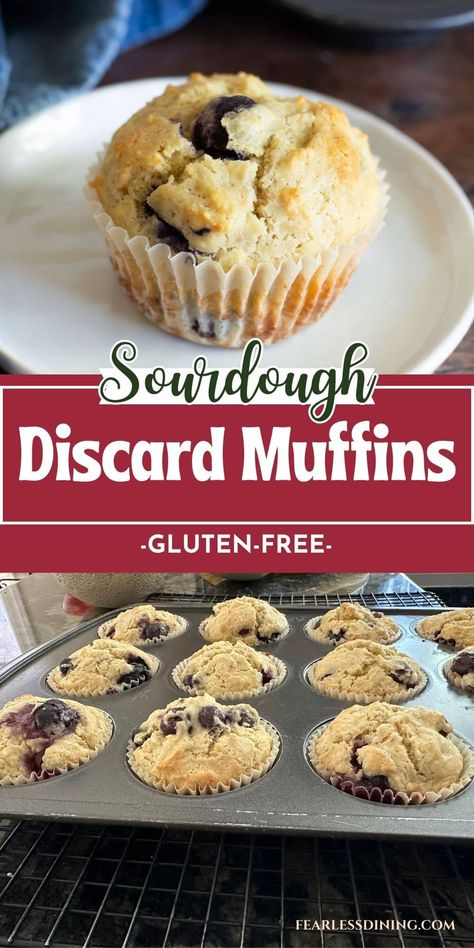 If you've been looking for an easy way to use up your excess sourdough discard, try this tasty gluten-free sourdough discard muffin recipe. This homemade gluten-free discard recipe is easy to follow, and you can make a batch in 40 minutes. They are delicious for breakfast, snacking, or packing in a lunchbox! Vegan Gluten Free Sourdough Discard Recipes, Gluten Free Starter Discard Recipes, Gluten Free Sourdough Tortillas, Gluten Free Sourdough Discard Bagels, Gluten Free Sourdough Discard Pancakes, Gluten Free Sourdough Discard Cinnamon Rolls, Gluten Free Sourdough Discard Scones, Keto Sourdough Discard Recipes, Gluten Free Sourdough Pancakes