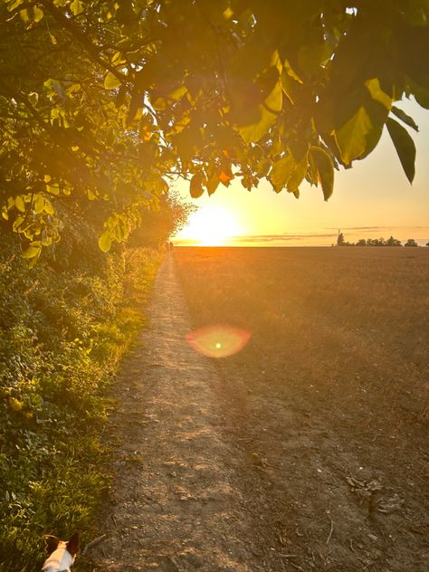 evening sunset walks Sunset Walks Aesthetic, Sunset Walk Aesthetic, Mood 2024, Sunset Walk, Dancing On My Own, Colorado Fall, 2024 Goals, Evening Sunset, Evening Walk