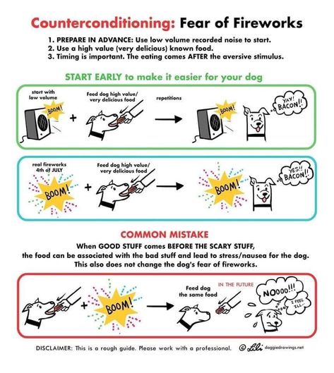 Is your dog scared of fireworks? This illustration demonstrates a basic guide on how to help your dog during fireworks. Dog Scared Of Fireworks, Dangerous Foods For Dogs, Positive Dog Training, Dog Information, Dog Info, Dc Memes, Dog Behavior, Dog Trainer, Dog Training Tips