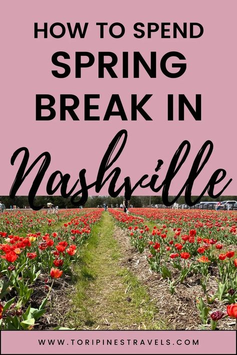 Spring Break in Nashville | Things to do in Nashville this Spring | Nashville Spring Break | What to Wear in Nashville | Nashville Packing List | Nashville in the Spring | Nashville things to do | Nashville travel guide | Visit Tennessee One Week In Nashville, Nashville Spring Break, Day Trip From Nashville, Nashville Packing List Spring, Nashville Packing List, To Do Nashville, Nashville Spring, Nashville Recommendations, Nashville Winter