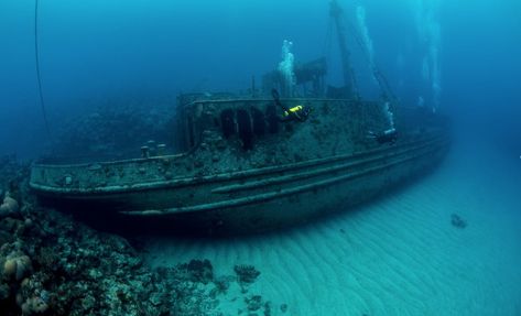 Dianggap Angker, Segitiga Bermuda menjadi Perairan Paling Berbahaya di Dunia , Banyak tempat misterius yang ada di bumi ini, salah satunya adalah Segitiga Bermuda yang membentang dari Bermuda, Florida, , https://www.dailysia.com/dianggap-angker-segitiga-bermuda-jadi-perairan-paling-berbahaya-di-dunia/ Best Snorkeling, Float Your Boat, Snorkeling Gear, Turtle Beach, Swimming Holes, Natural Scenery, Shipwreck, Best Sites, Boat Trips