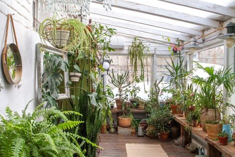 15 idées pour aménager un jardin d'hiver sous votre véranda Decoration Veranda, Tiny House, Pergola, Vision Board, House Styles, Architecture, Home Decor, Home Décor, Palmas