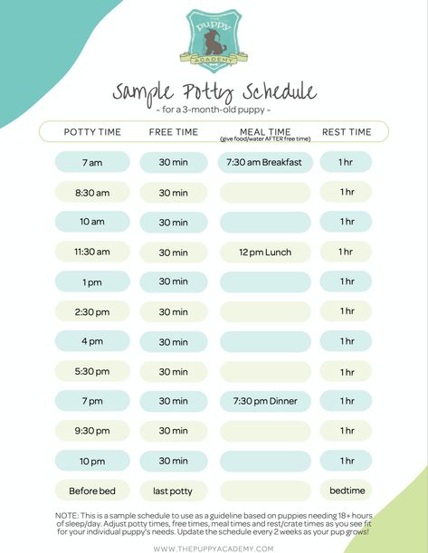 Sample Puppy Schedule, Potty Training Time Schedule, Dog Potty Training Schedule, Puppy Potty Schedule, Puppy Potty Training Schedule Printable, Puppy Training Schedule Printable, Puppy Potty Training Schedule By Age, Puppy Schedule 12 Weeks, Puppy Training Schedule By Age